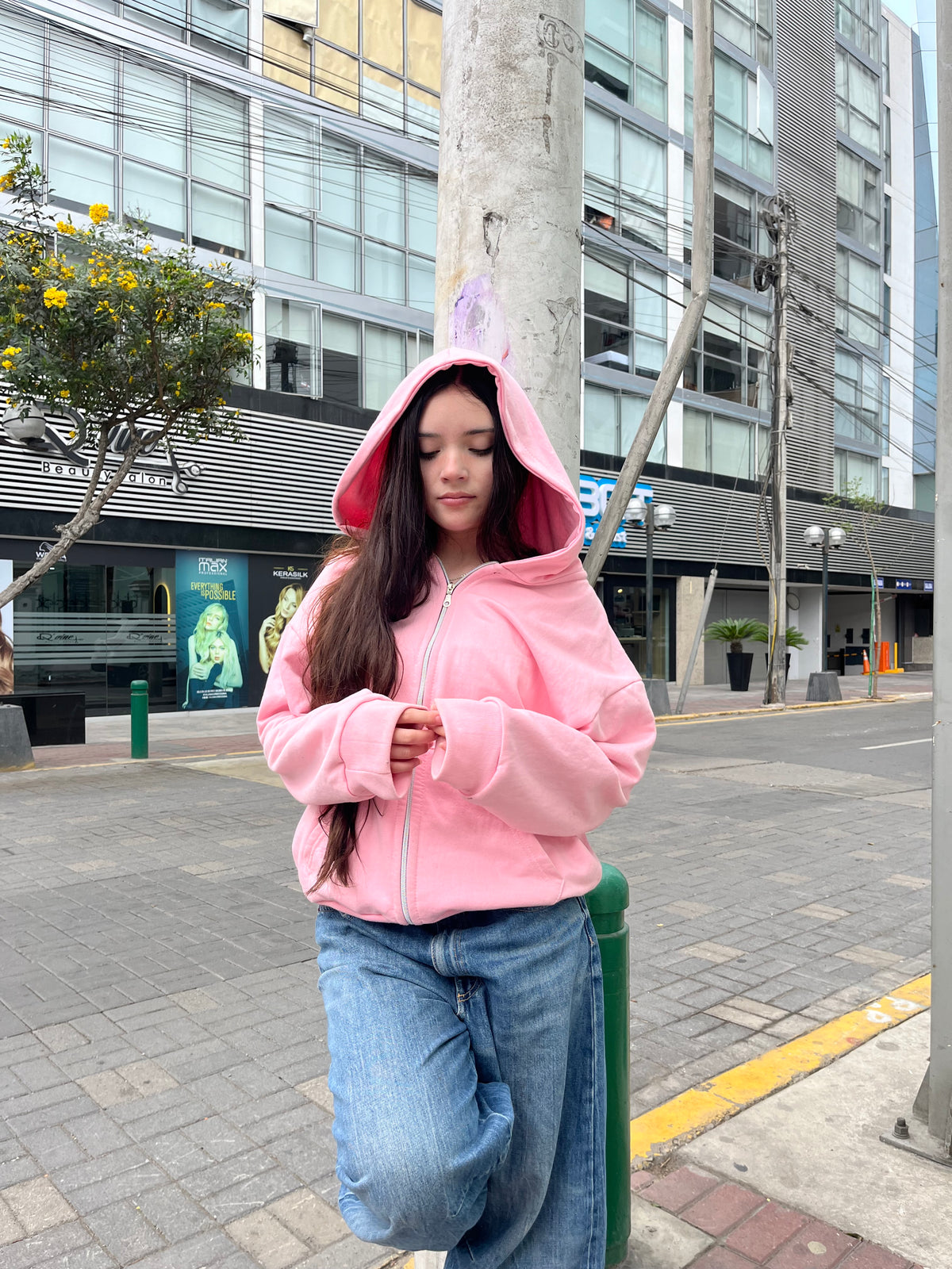 Basic Pink - Hoodie Zip Mangas Globos