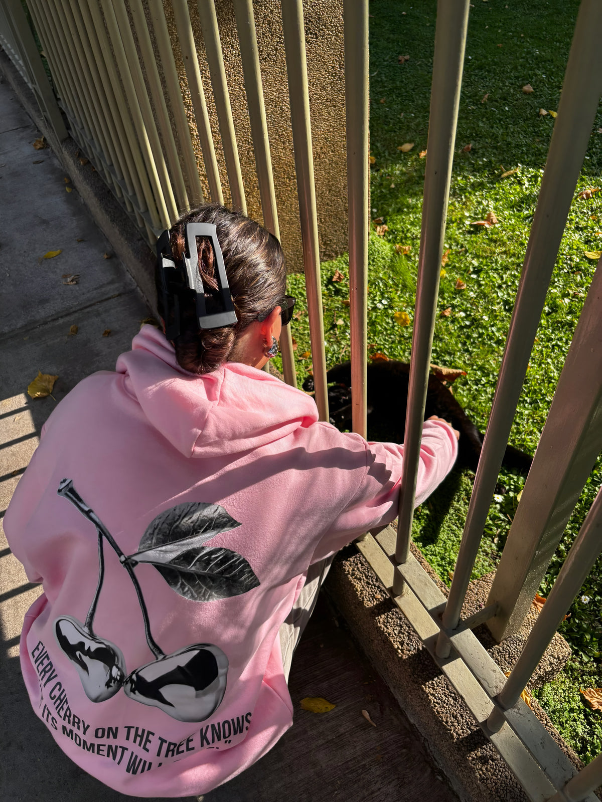 Cherry Silver - Hoodie Clásico pink