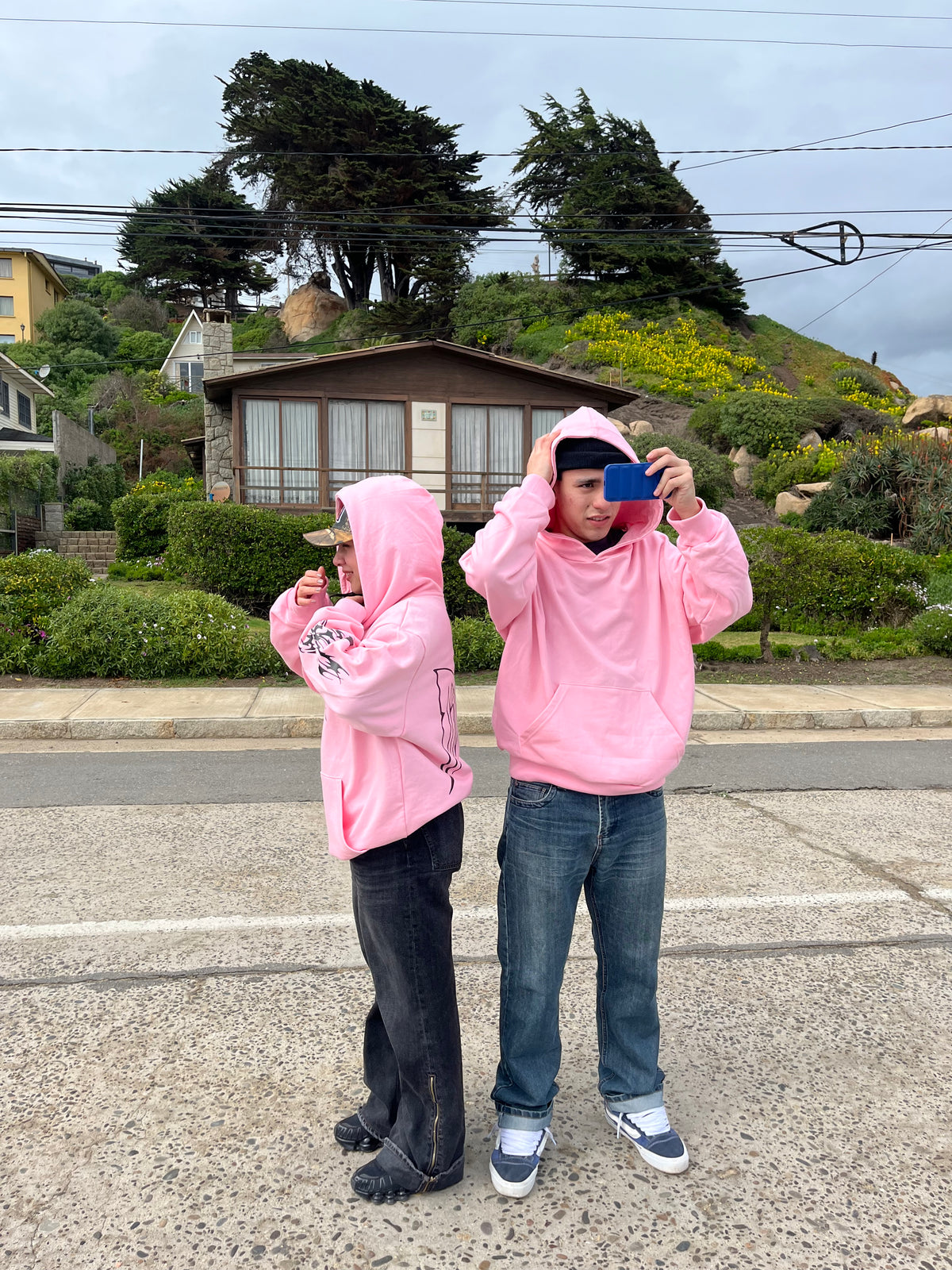 Butterfly Emblem - Hoodie Mangas Globo Pink