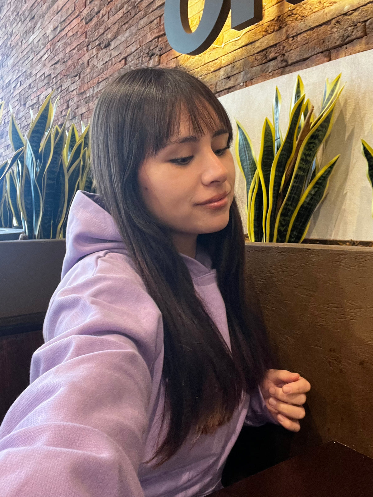 Basic lila  - Hoodie Classic