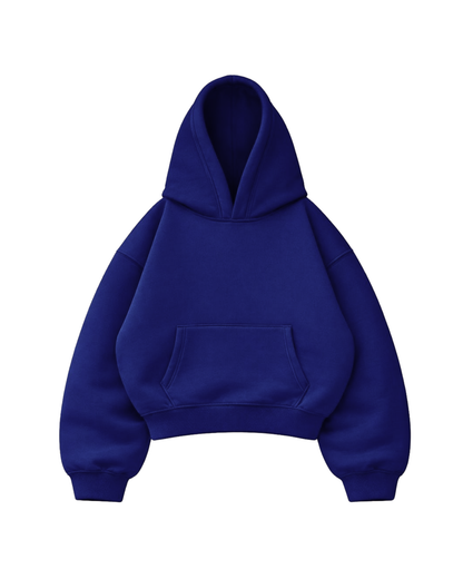 Flying - Hoodie Mangas Globo Blue France