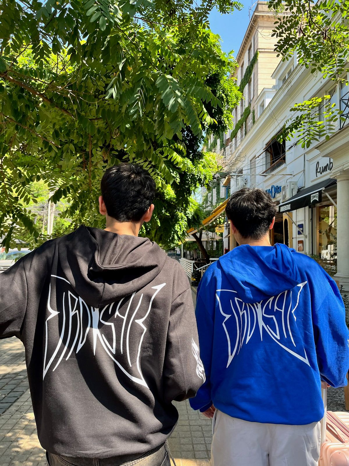 Butterfly Emblem - Hoodie Mangas Globo Blue